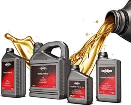 COMBUSTIBLES Y LUBRICANTES  BRIGGS & STRATTON